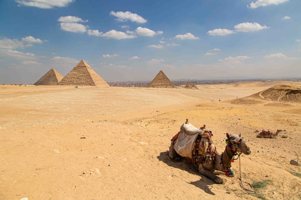 Some desert transportation, now used for tourists.