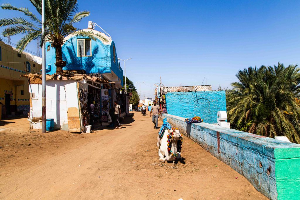 Our greeter at the Nubian Village.