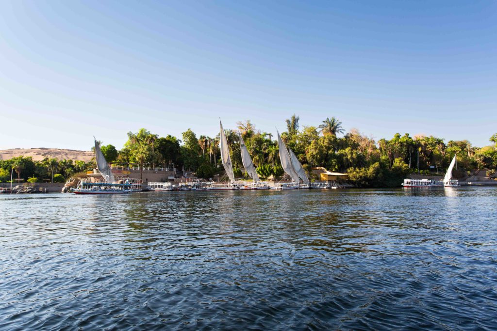 The Aswan Botanical Garden