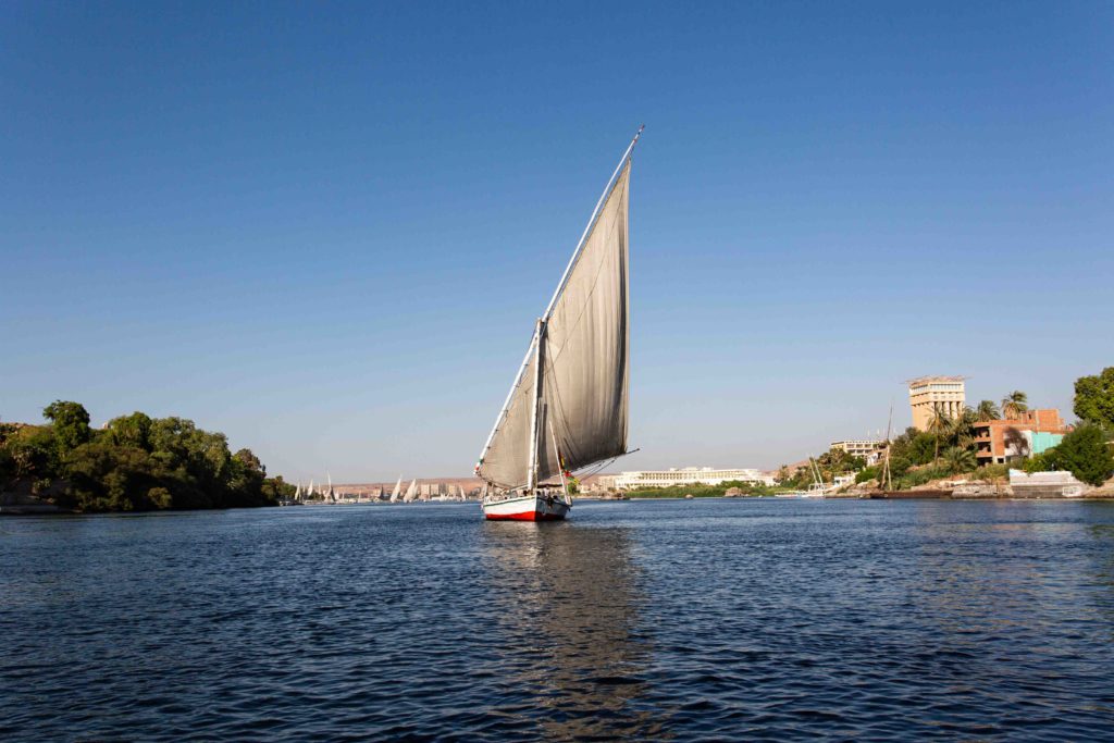 A fellow felucca traveler.