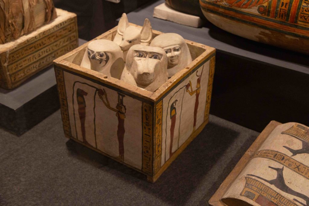 Canopic jars for the organs from mummys. The falcon-headed jar (Qebehsenuef) is for the intestines, the baboon-headed jar (Hapi) is for the lungs, the ackal-headed jar (Duamutef) is for the stomach and the human-headed jar (Imseti) is for the liver.