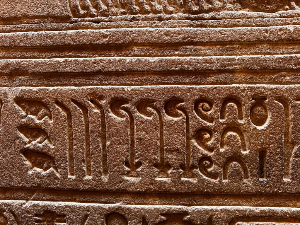 Numbers in hieroglyphics. From the left the tadpoles are 100K, bent fingers 10K, coil of rope 100, upside down horsehoe (cattle) 10 and the square or single stroke 1. so 333,331.